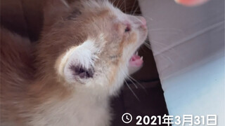 It's been one year since I found Changfeng!