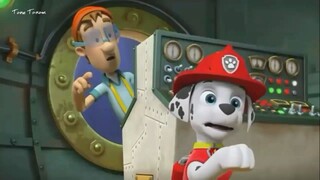 Paw patrol (Skye menjadi Mer-pup) bahasa Indonesia