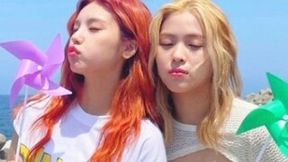 Phiên bản idol nữ tình yêu Polaroid cực hot trên mạng quốc tế, xem xong tâm trạng trở nên tốt hơn～Dễ