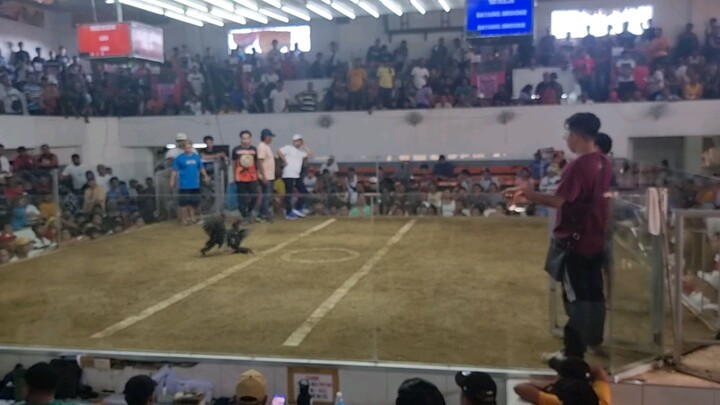 2nd time biinabae