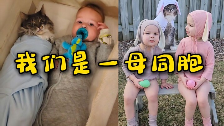Nó tin chắc rằng mình chính là con ruột.