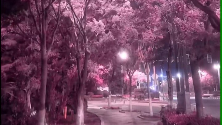 Bạn đã bao giờ có giấc mơ giống thế này chưa?