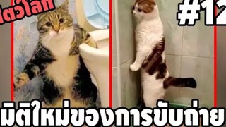 รวมคลิปตลกๆ : เเบบนี้มันจะล้ำเกินไปละนะสมเเมว!!