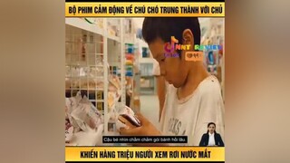 bộ phim cảm động về chú chó trung thành với chủ reviewphim nntreview2 mereviewphim vulaci