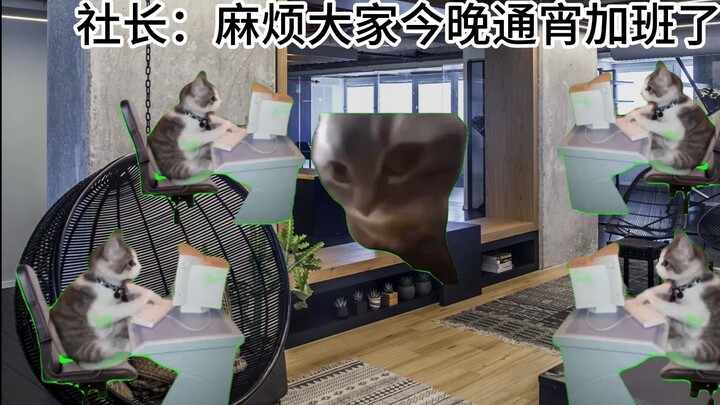 【猫meme】一声欧尼酱，声声欧尼酱