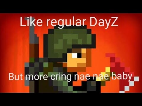 MiNi DaYz iS FuN