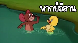 ทอมแอนด์เจอร์รี่ (พากย์อีสาน) ตอน สอนเป็ดว่ายน้ำ
