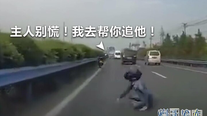 Tài xế: Tôi cũng ngơ ngác không hiểu gì luôn!