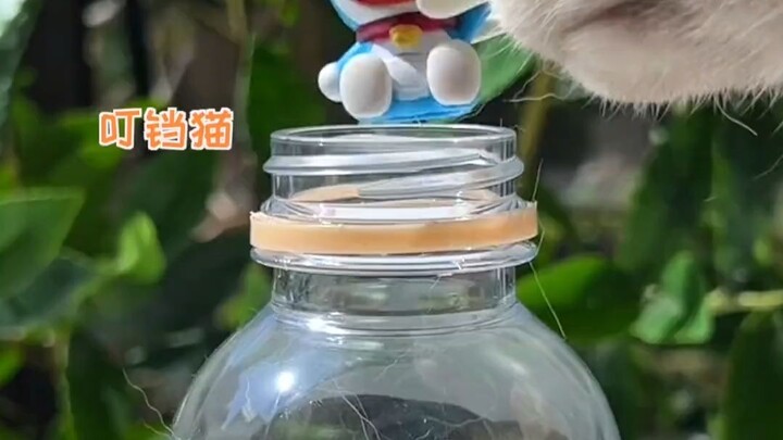 【อาชิวคา】อัปเดตแล้ว รีบมาชมกันเลย!