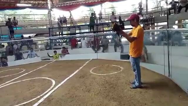 CampCavalierCockpit.              2nd fight win