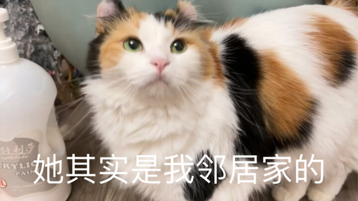 She and I actually have an improper relationship...