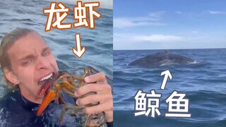 随手就能抓龙虾？——独自一人在海洋里游泳会遇到什么
