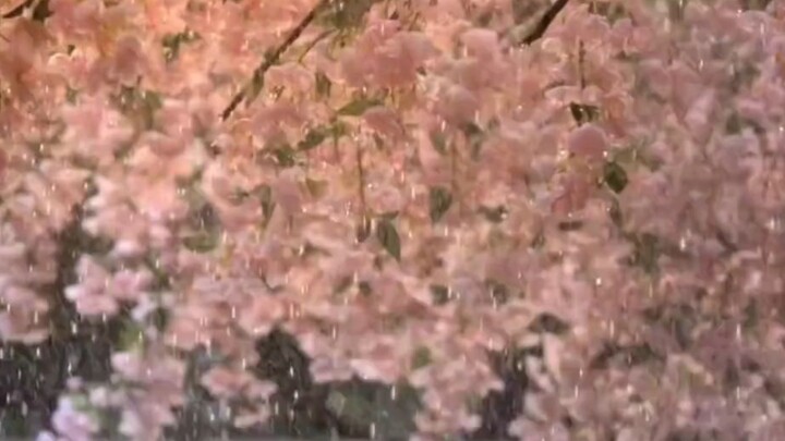 我还记得第一面见你 我的心是怎样拨动