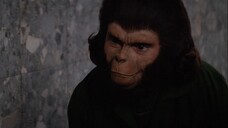 Conquest of the Planet of the Apes (1972)