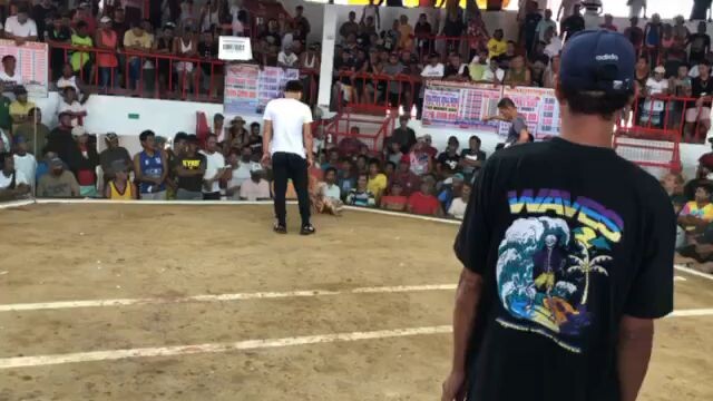DRAW PUMPKIN HENNIE (3Cockderby)Magilas Cockpit Arena#Oriental Mindoro#MaxrillGamefowls#Minimumlang,