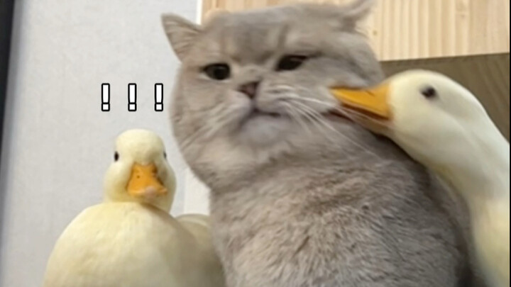 We’re both just drifting through life anyway—let’s at least enjoy it together!