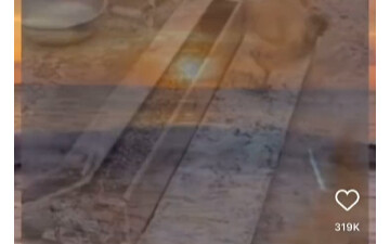 For the First Time, I Got Crushed—but Kun Kun Managed to Save Himself!