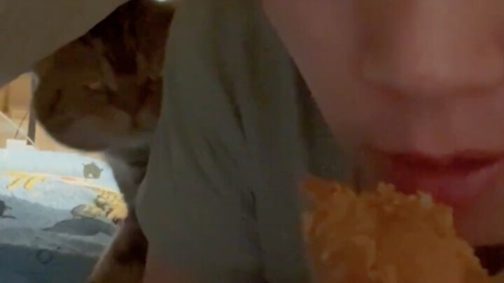 Cat: You old geezer, sneaking off to eat all the treats by yourself again!