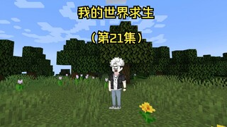 全民穿越我的世界求生 但只有我知道合成（第21集）