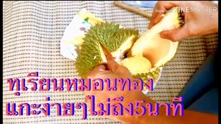 ทุเรียนหมอนทอง/แกะง่ายๆไม่ถึง5นาที/ได้กินทุเรียนหมอนทองอร่อยๆ