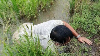 Chú Út Ra Ruộng Móc Cua Đồng Toàn Cua Càng Kình Khủng.Góc Làng Quê