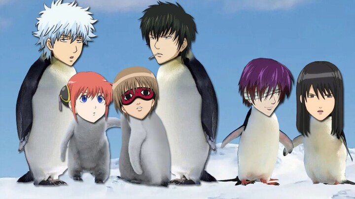 Gintama animal version, no longer human!