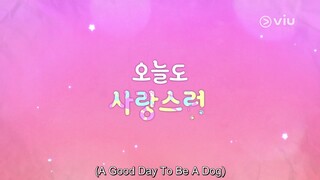 EP 03 ENG SUB A Good Day to Be a Dog
