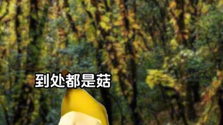 不同地方都有哪些天赋#猫meme小剧场#搞笑#内容过于真实#南北方#地域天赋