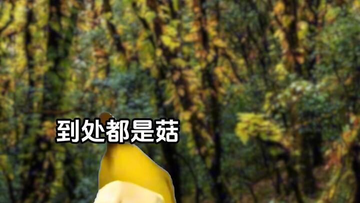 不同地方都有哪些天赋#猫meme小剧场#搞笑#内容过于真实#南北方#地域天赋