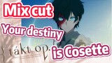 [Takt Op. Destiny]  Mix cut | Your destiny is Cosette