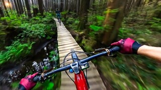 太奶上学时走过的林间小道