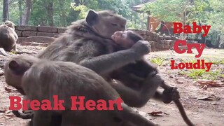 Break Heart,Baby Monkey Cry Very Loudly, Bad Mom Terrible Attack Her Baby Cry Loudly,Review Old Baby