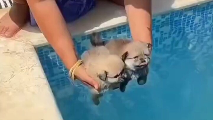 It's time to show some real skill! Mama Sauce, I can't swim!