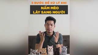 5 bước để xử lý khi nấm mèo lây sang người tuitienpet LearnOnTikTok dcgr pet