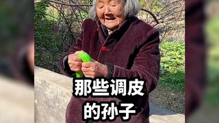 Those naughty grandchildren tease their grandparents every day