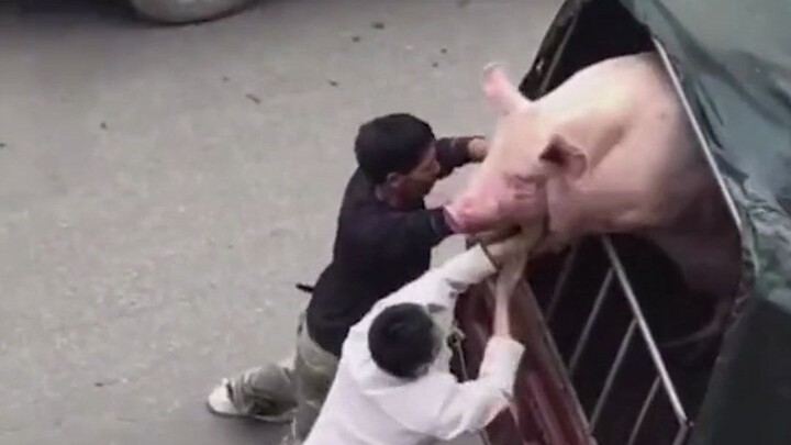If it weren’t for being too overweight, I’d be the sales champion.