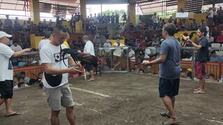 second fight loss bawi nlang sa sunod