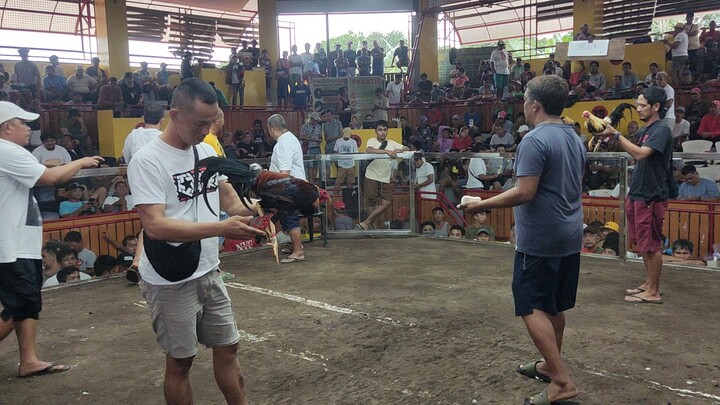 second fight loss bawi nlang sa sunod