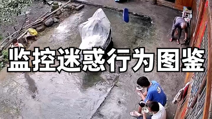 Cẩm nang hình ảnh hành vi gây khó hiểu trong giám sát