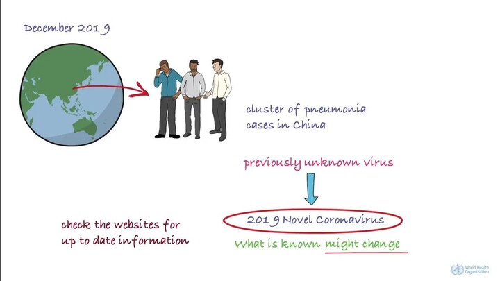 Novel coronavirus (2019-nCoV)