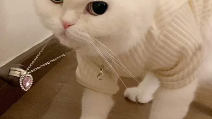 Mom explains: The necklace is fake, but the diamond is real!