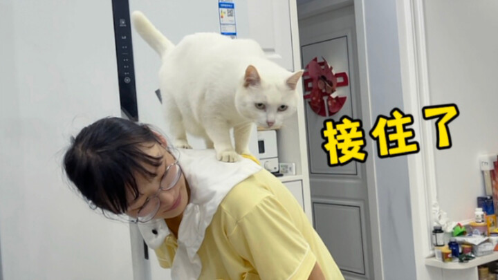 แมวของฉันเชื่อใจฉันสุดๆ เลยนะ