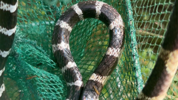 Give me some time to adjust my condition, thank you everyone.