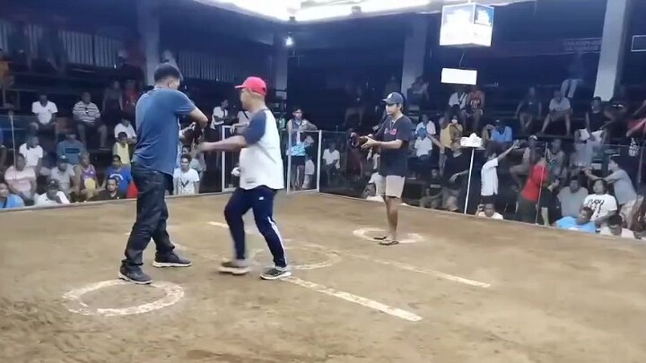 7 stag bmeg sabing idols