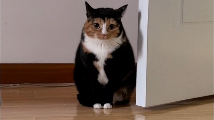 لولا أنك اقتحمت حياتي فجأة، لكنت ما زلت أملك أكثر من 200 في نهاية الشهر على الأقل~