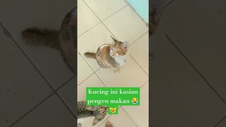 ga kuat mau nangis😭😭😭#shorts #viralvideo #viral #shortsfeed