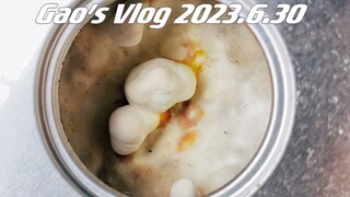 Growing Mushrooms at Home 4.0! My Chi Chi is going crazy!!
