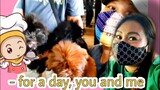A DAY WITH ME / COOKING /KOREAN FOOD HAUL+ SHIH TZU VACCINE