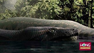 Những Hang động đáng sợ được canh gác bởi Mãng Xà khổng lồ| Hóng Khám Phá