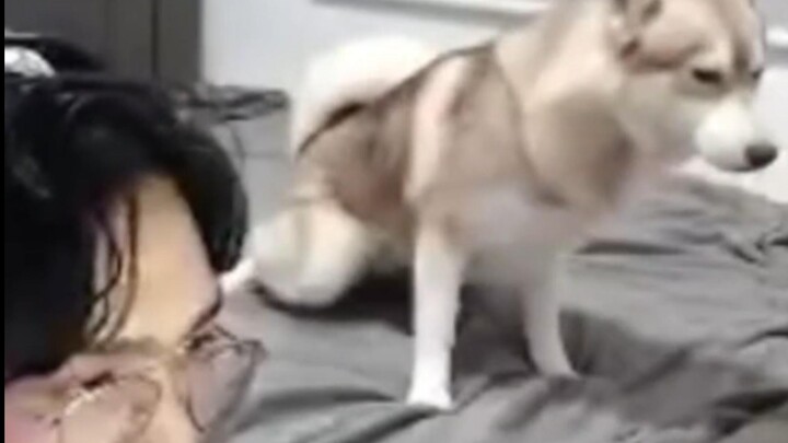 狗子：C4已安防